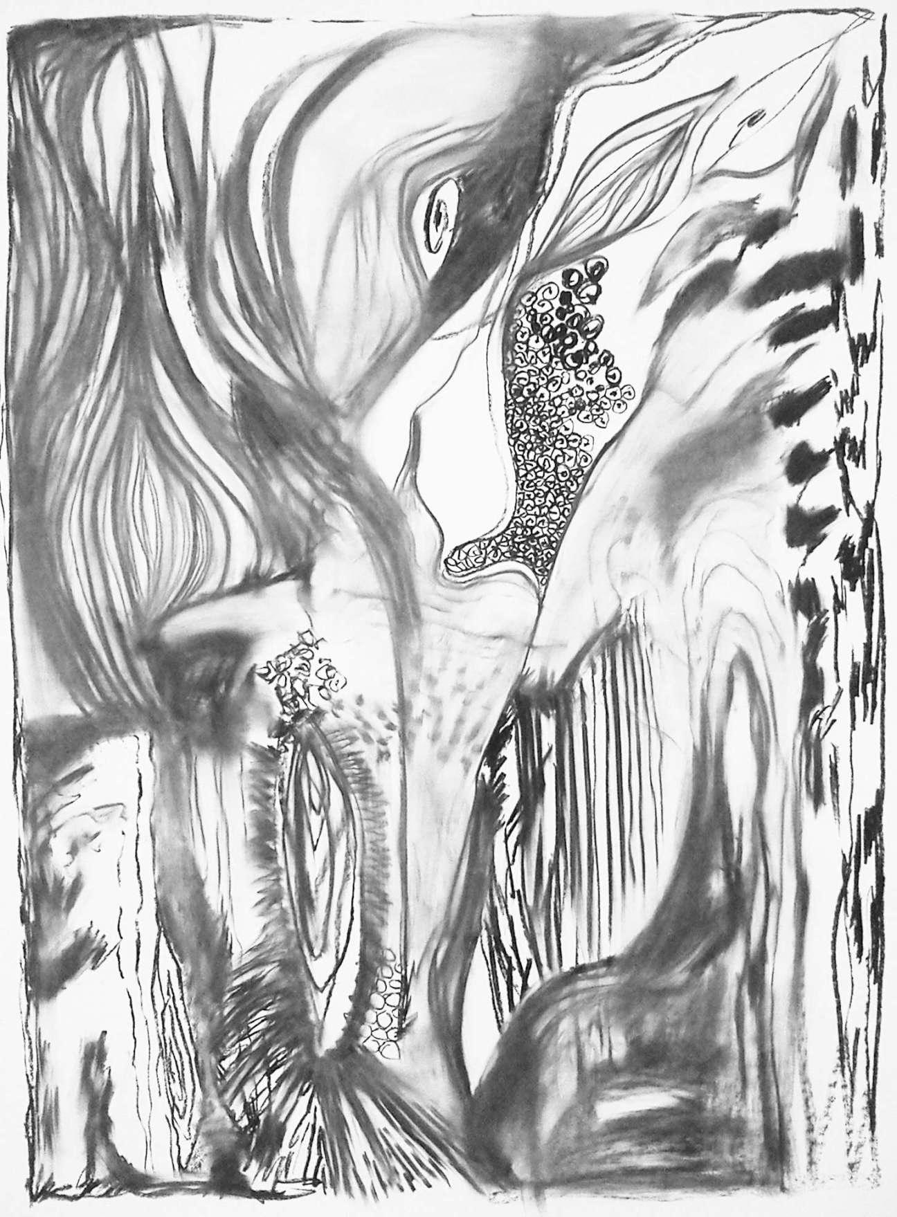 Sex Dreams, charcoal on paper, 150 x 100 cm
