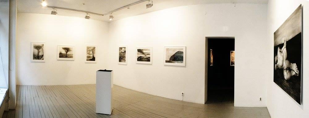Exhibition view: Egentligen, Gallery Rostrum 2017